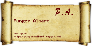 Pungor Albert névjegykártya