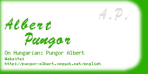 albert pungor business card
